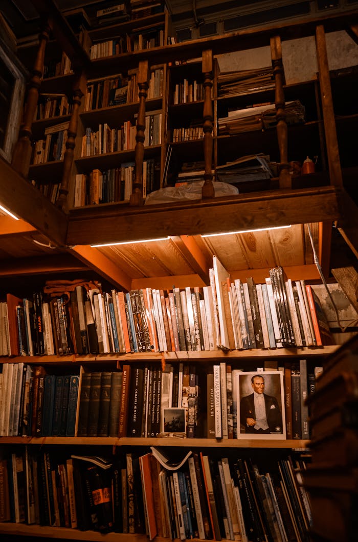 services-02 A wooden bookshelf in a cozy library setting with warm ambient lighting and various books.