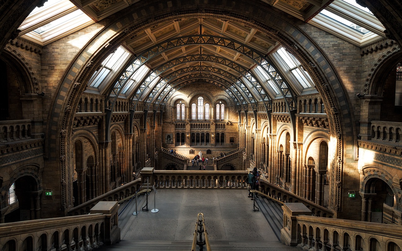 about-01 natural history museum, london, interior, arch, stairs, hall, architecture, history, museum, england, united kingdom, london, london, london, london, history, museum, museum, museum, museum, museum